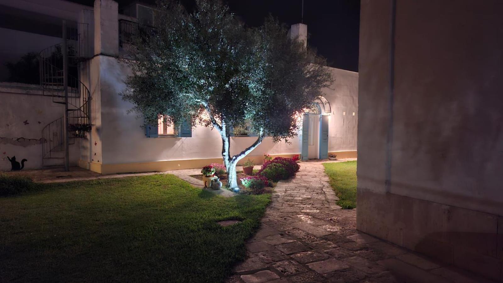 Villino Tronchetto Bianco Bed & Breakfast Mola di Bari Exterior photo